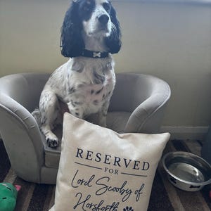 Sally added a photo of their purchase