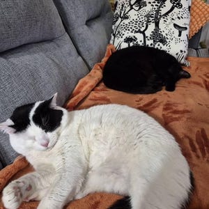 becky added a photo of their purchase