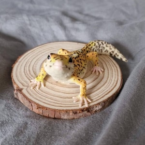 Eilish added a photo of their purchase