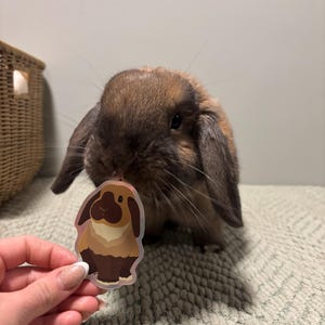 Sarah added a photo of their purchase