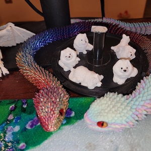 Paula added a photo of their purchase