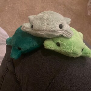 Margaret ha aggiunto una foto del proprio acquisto