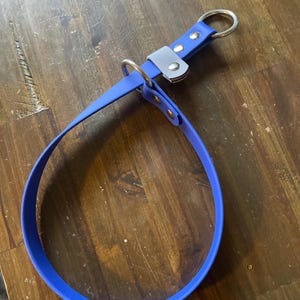 Wolf added a photo of their purchase