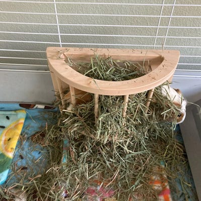 4.5 Hamster Ramp With Sides, Hamster Cage Ramp, Hamster Cage ...