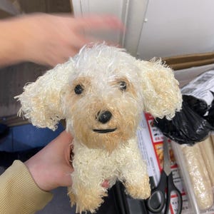 Hazel added a photo of their purchase