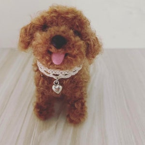 R added a photo of their purchase