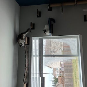 Dobbi added a photo of their purchase