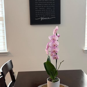 T added a photo of their purchase