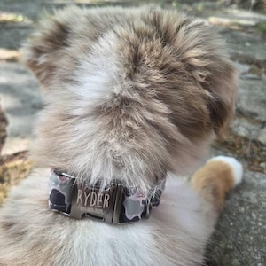 Chris added a photo of their purchase