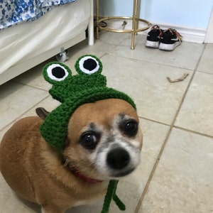 Rin added a photo of their purchase