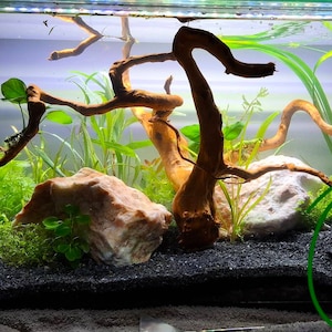 Corner Rocky Grotto | Create an adventure zone for your fish, shrimp, pleco, reptile and continue to observe them as they play and forage.