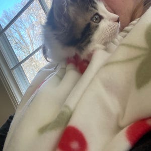 Robin added a photo of their purchase