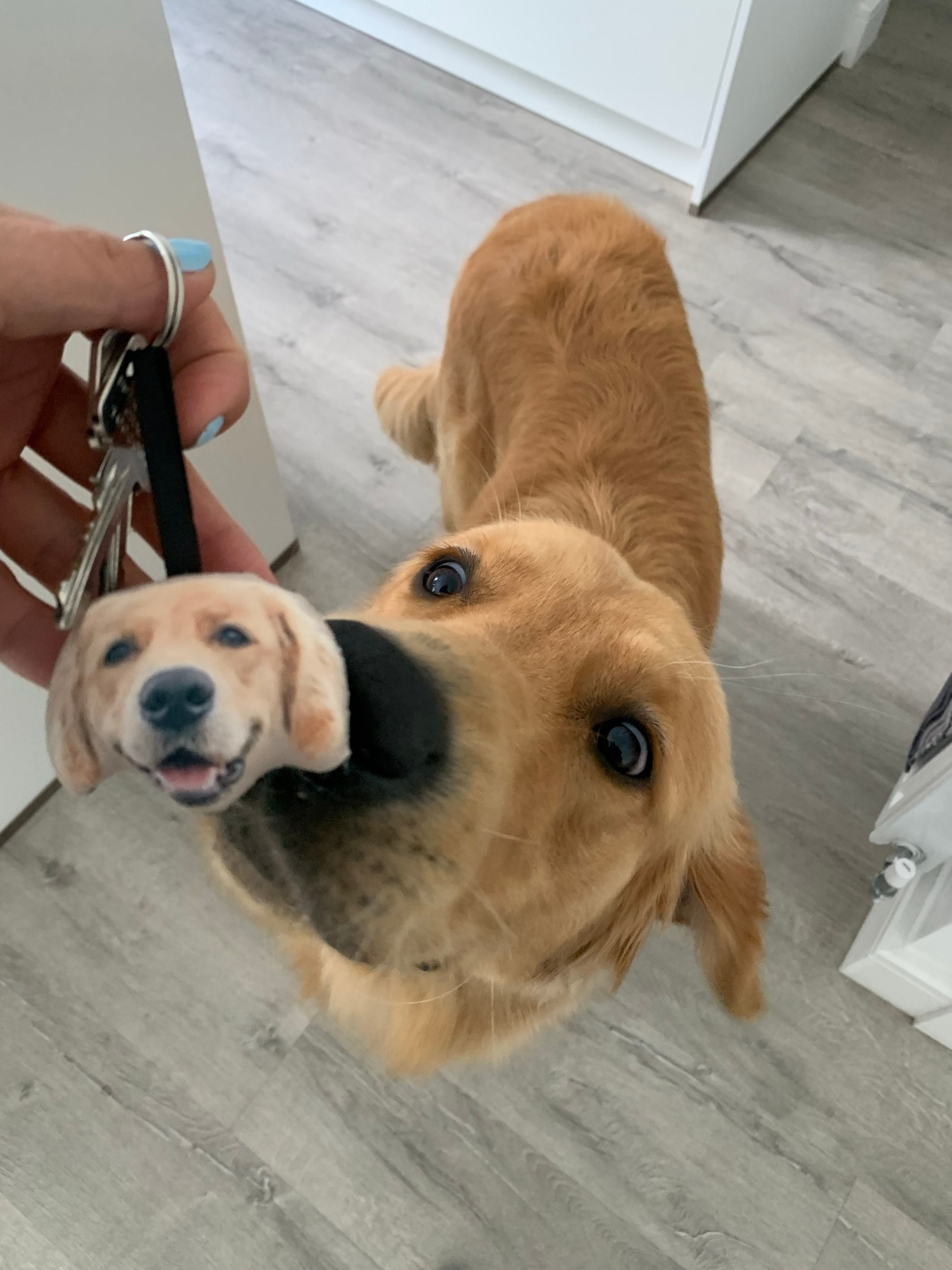 Custom Pet Head Keyring / Keychain - dog, cat, animal, photo, dog gifts, personalised dog keyring, personalised dog gifts, dog keyring, cute
