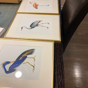 Minal added a photo of their purchase