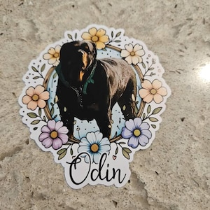 Cherie added a photo of their purchase