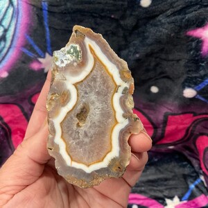 Quartz Crystal Specimen //california // Rare Formations - Etsy