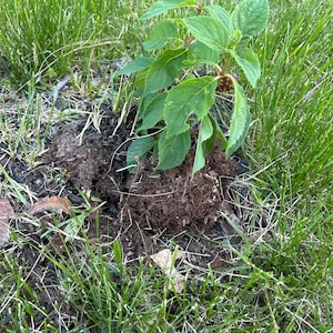 Tara ha añadido una foto de su compra