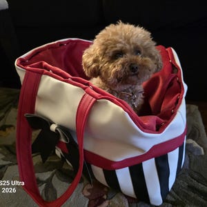 PATRICIA added a photo of their purchase