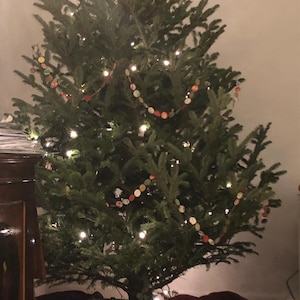 Steph added a photo of their purchase