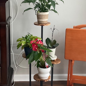 Debi added a photo of their purchase