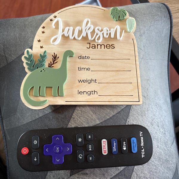 Dinosaur Baby Name Sign | Newborn Birth Announcement Name Plaque | Arch ...