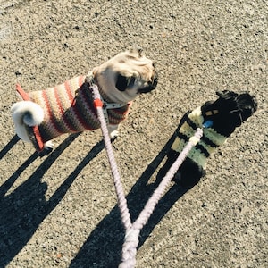 Charlie added a photo of their purchase