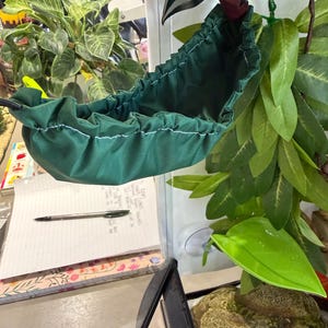 Allie added a photo of their purchase