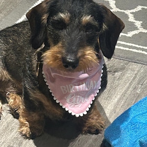 Debbie added a photo of their purchase