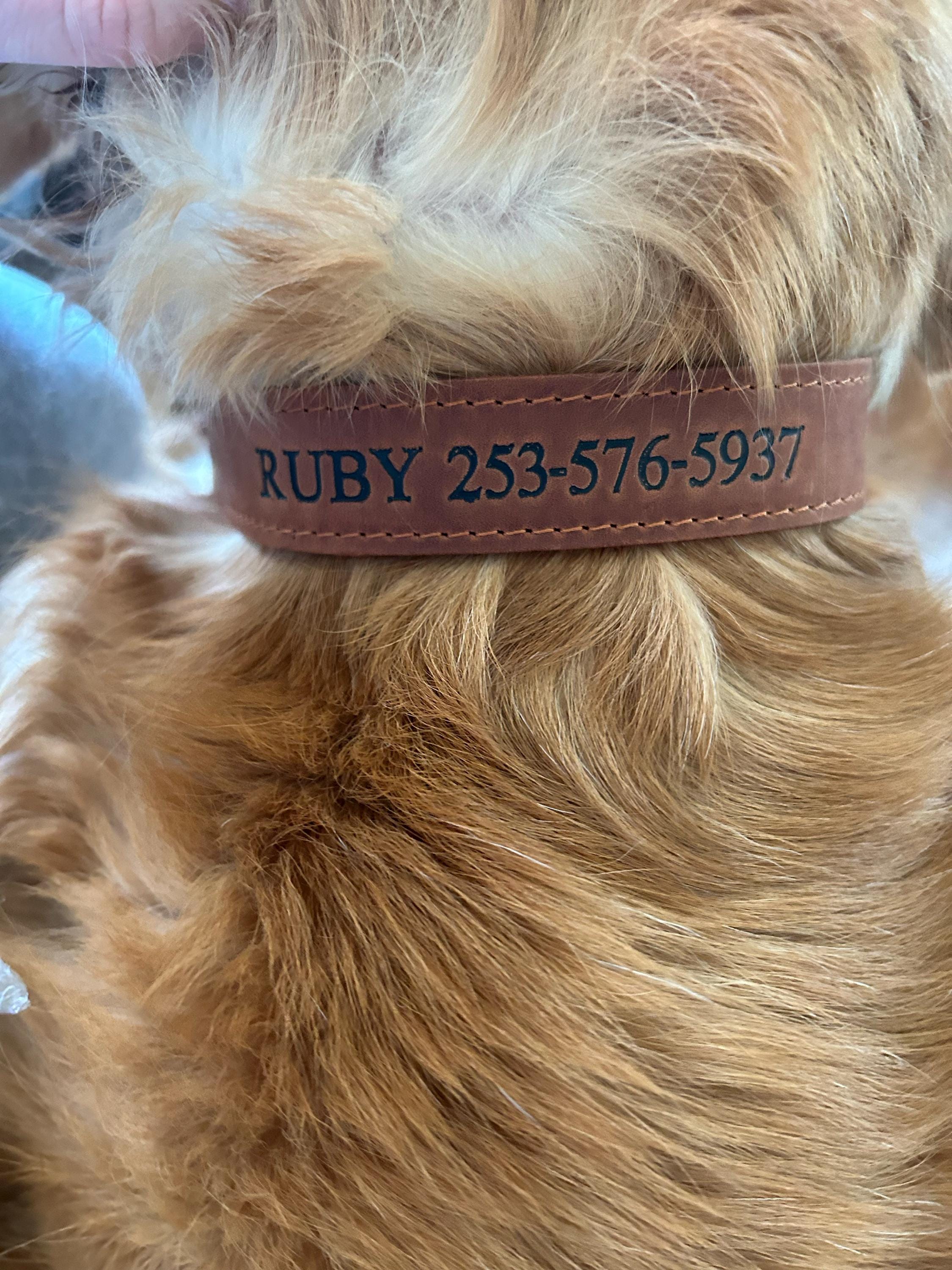 Personalized Leather Dog Collar, Personalized Dog Collar, Genuine Leather Dog Collar, Engraved Leather Dog Collar, Customized Dog Collar