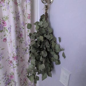 Seanna added a photo of their purchase