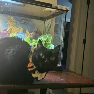 Sydney added a photo of their purchase