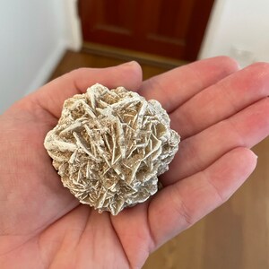 Etsy-Käufer:in hat ein Foto des gekauften Artikels hinzugefügt