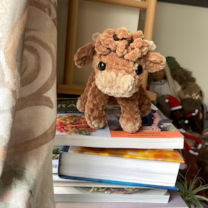 Marie added a photo of their purchase