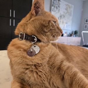 Kim added a photo of their purchase