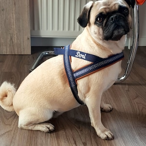 Antje added a photo of their purchase