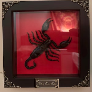E added a photo of their purchase