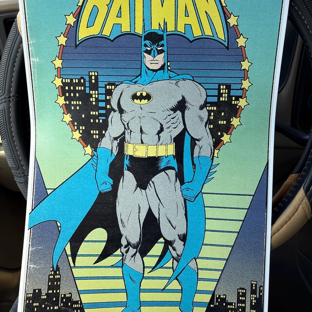 【中古】「非常に良い」DC COMICS ICONS: BATMAN DC Icons: Batman - Etsy