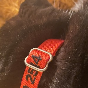 Breanna added a photo of their purchase