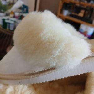 Karen added a photo of their purchase