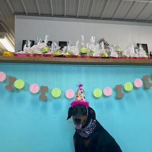 Whitney added a photo of their purchase