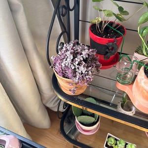Hmm….. added a photo of their purchase