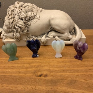 Lina added a photo of their purchase