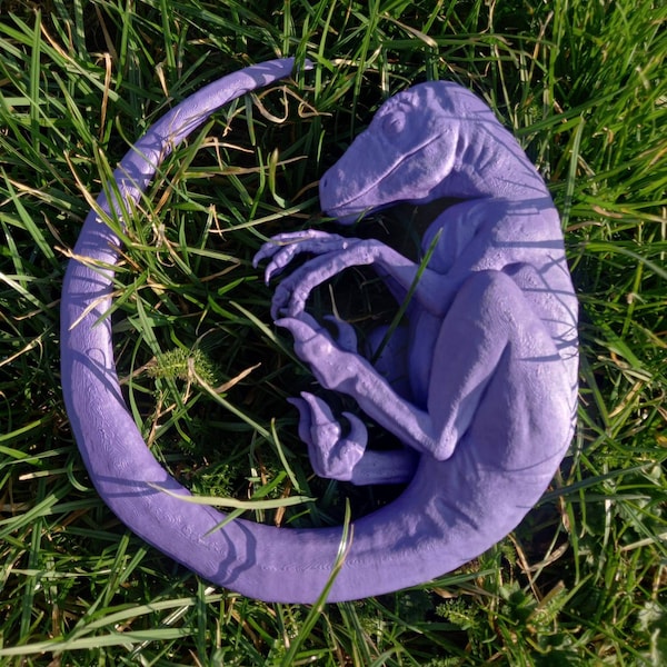 Sleeping Baby Velociraptor Art - Dinosaur - 3D Printed - Multiple ...