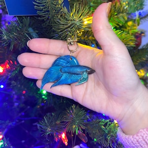 Cristina added a photo of their purchase
