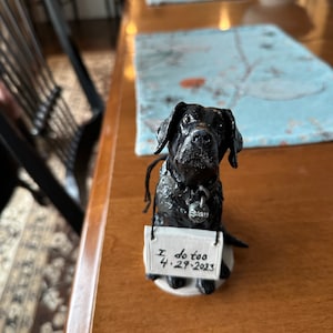 Brittany added a photo of their purchase