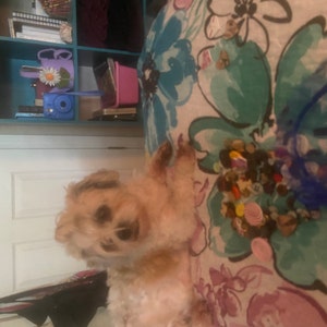 Illiana added a photo of their purchase