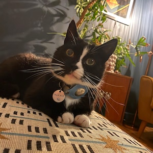 Emily added a photo of their purchase
