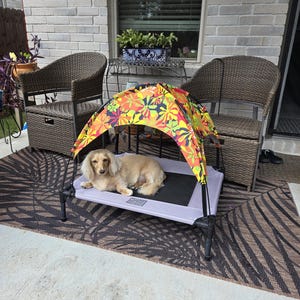Janet added a photo of their purchase