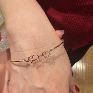 Nancy added a photo of their purchase