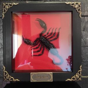 José added a photo of their purchase